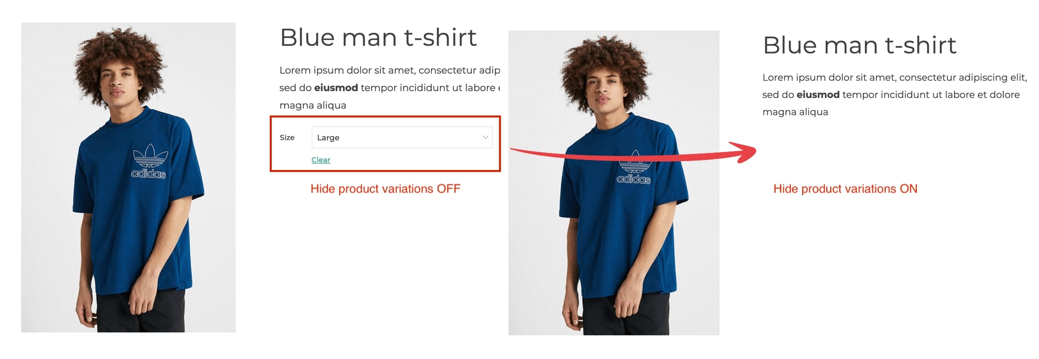 Hide product variations example