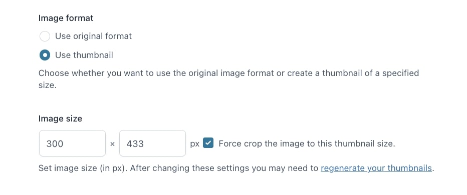 Image format