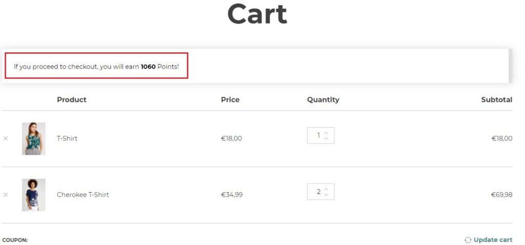 Points message on cart page